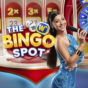 the_bingo_spot